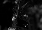 L1005311